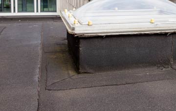 disadvantages of Rhosrobin flat roofs