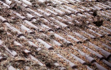 Rhosrobin roof cleaning companies