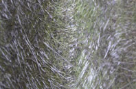 Rhosrobin fibreglass roof work